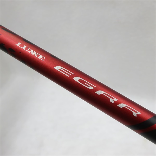 １９ＥＧＲＲＳ７９Ｍ